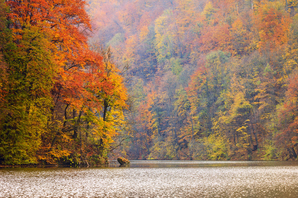 Jesień nad jeziorem Hamori-Węgry - Zdjęcie, obraz
