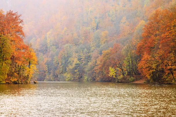 Lago de otoño Hamori-Hungría
 - Foto, Imagen