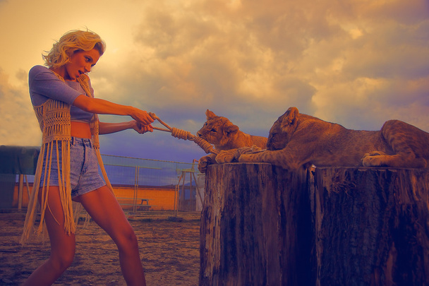 sexy woman playing with lion cub on background with beautiful sky and storm clouds. orange effect. woman fighting with lion. - Photo, Image