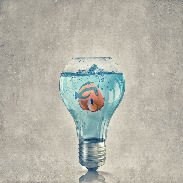 Fish in bulb - Photo, Image
