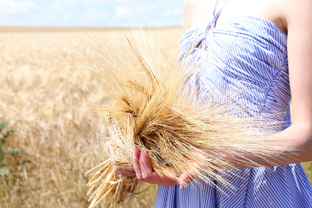 Woman holding sheaf in field - Foto, afbeelding