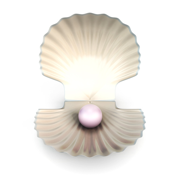 Perle coquille isolée sur fond blanc
 - Photo, image