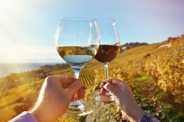 Lavaux bölgedeki elinde Wineglases - Fotoğraf, Görsel