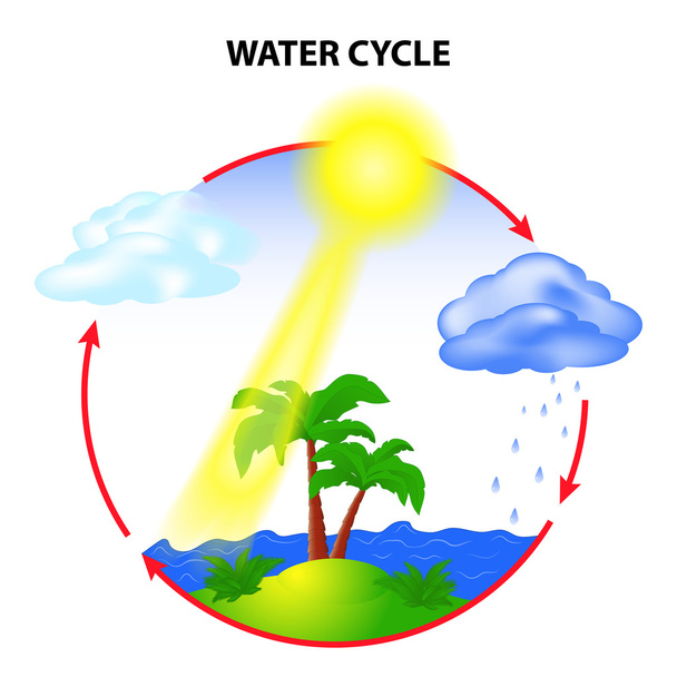 Ciclo dell'acqua - Vettoriali, immagini