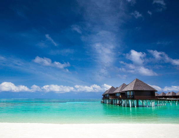 Spiaggia delle Maldive
 - Foto, immagini