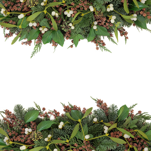 Mistletoe and Winter Flora - Фото, зображення