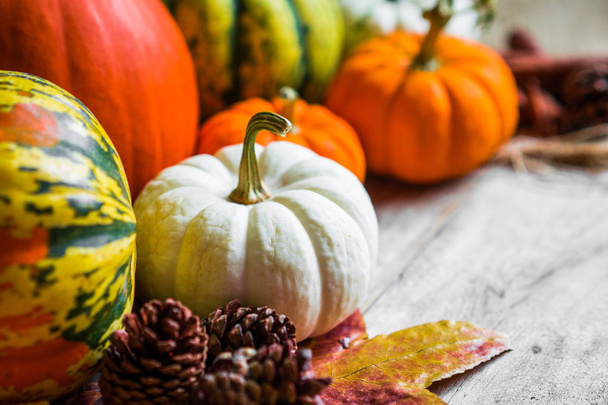 Colorful pumpkins and fall leaves on rustic wooden background - Foto, Imagen