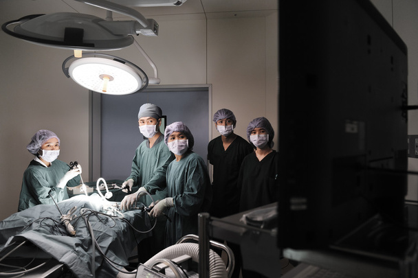 Gruppe von Tierärzten im Operationssaal für laparoskopische Chirurgie - Foto, Bild