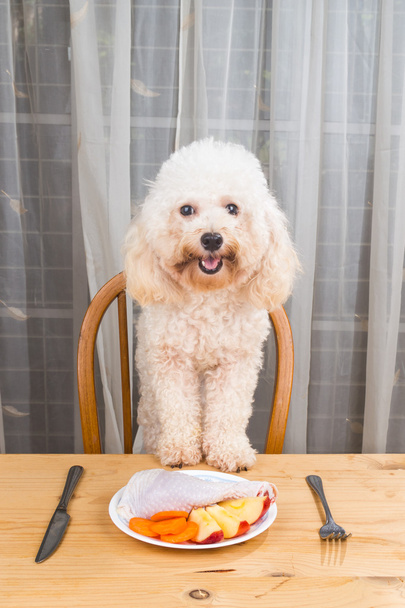 Concepto de perro emocionante que tiene deliciosa comida de carne cruda en la mesa
. - Foto, imagen