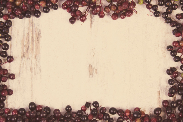 Vintage photo, Frame of autumn fresh elderberry and copy space for text - Φωτογραφία, εικόνα