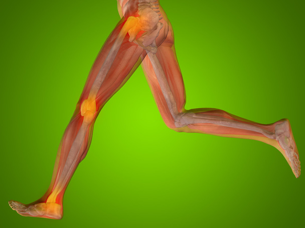 joint or articular pain, ache or injury - Photo, Image