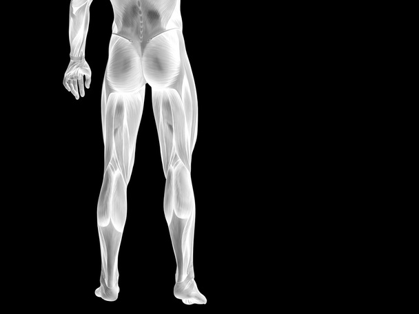 conceptual man or human  body - Fotografie, Obrázek