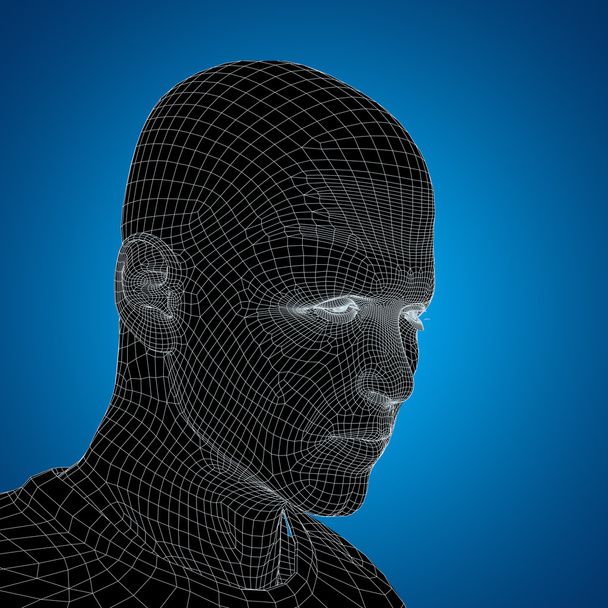 wireframe young human male - Photo, Image