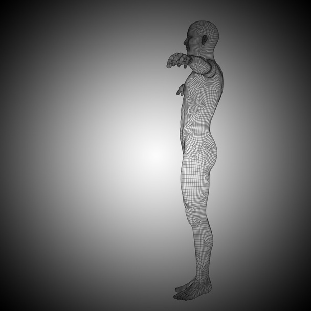 muscular man anatomy - Φωτογραφία, εικόνα