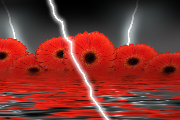 Lightning strikes over the water with red flowers in background - Photo, Image
