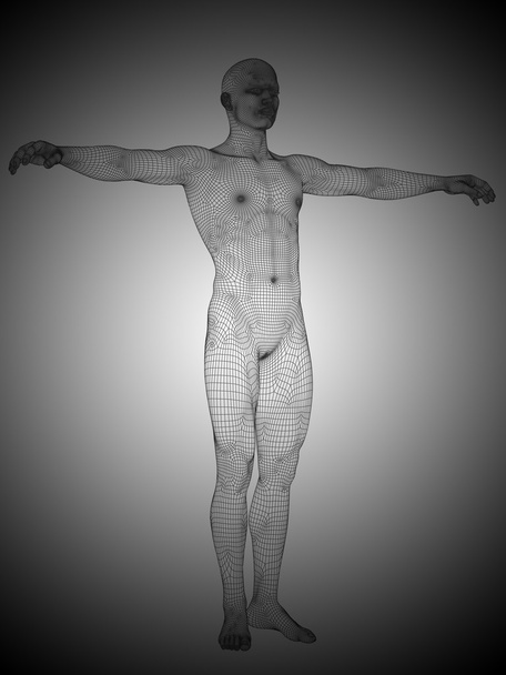 muscular man anatomy - Zdjęcie, obraz