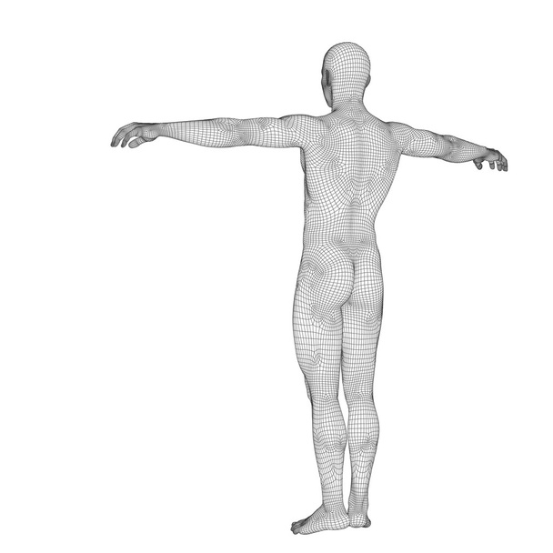 ihmisen tai miehen mustasta langallisesta kehyksestä
 - Valokuva, kuva