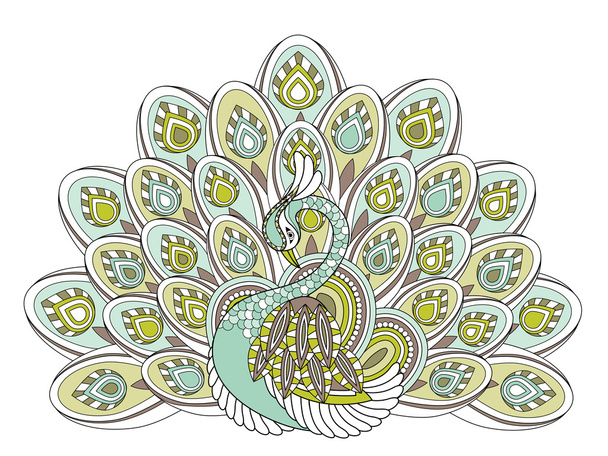 elegant peacock - Вектор,изображение