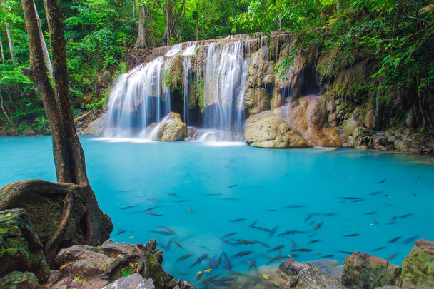 Bela floresta profunda Cachoeira
 - Foto, Imagem