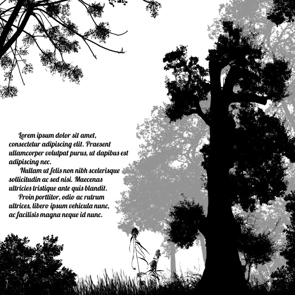 Beautiful forest trees silhouette on white - Vector, Image