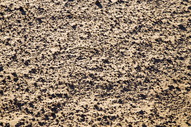 afrikanische sanddüne in sahara marokko linie - Foto, Bild