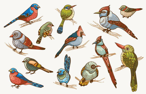Set of cartoon birds. - Вектор, зображення