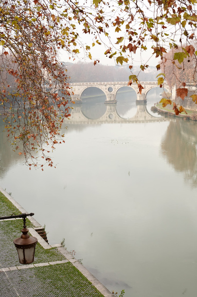 イタリア ローマのテベレ川 - 写真・画像