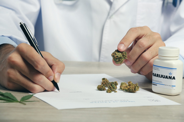 Doctor hand holding dry medical cannabis on table close up - Fotoğraf, Görsel