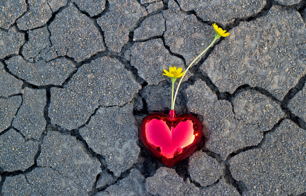 streszczenie żółte kwiaty w kształcie serca czerwone na cracka ziemi natura - Zdjęcie, obraz