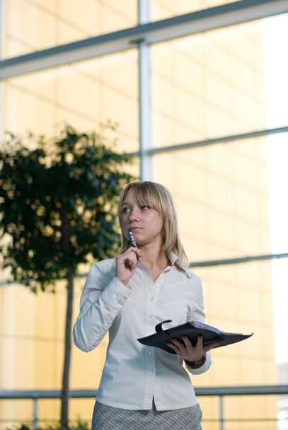Young businesswoman with day planner in lobby - Fotoğraf, Görsel