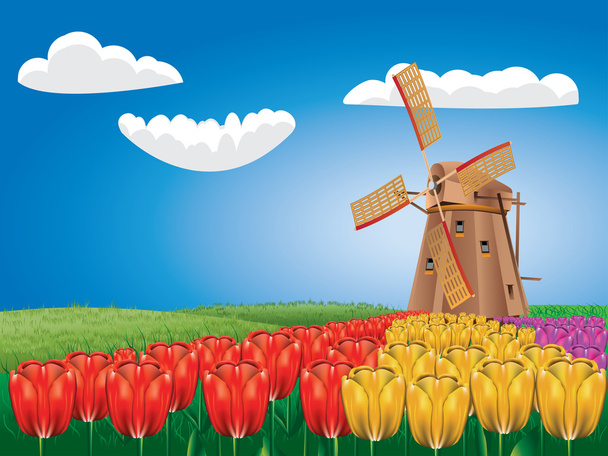 větrný mlýn a tulipány - Vektor, obrázek