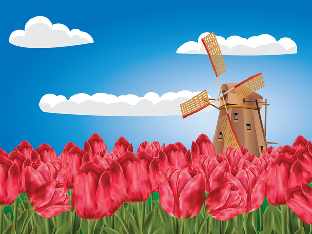 Ветряная мельница и тюльпаны
 - Вектор,изображение