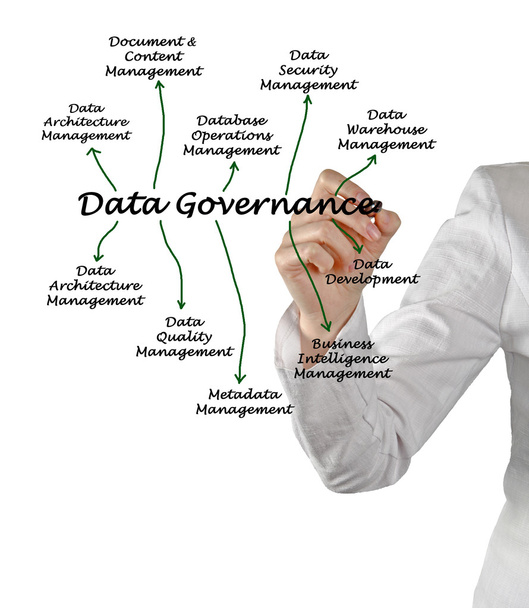 Governance dei dati
 - Foto, immagini
