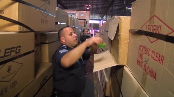 Security agents search for drugs - Séquence, vidéo