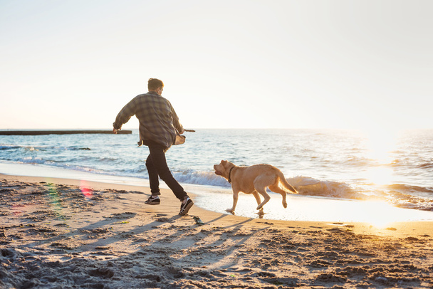 young caucasian male playing with labrador on beach during sunri - 写真・画像