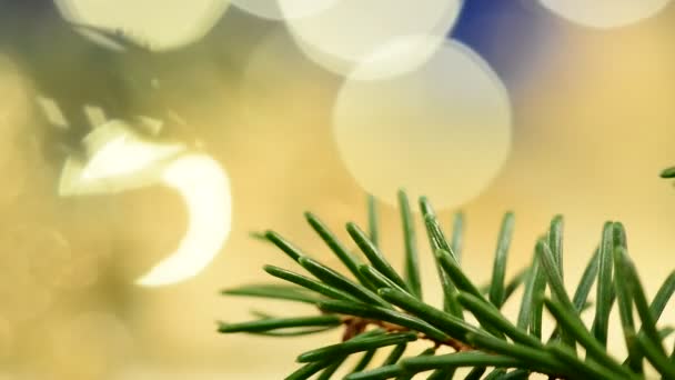 goldene Weihnachtssterne mit Details des Weihnachtsbaums - Filmmaterial, Video