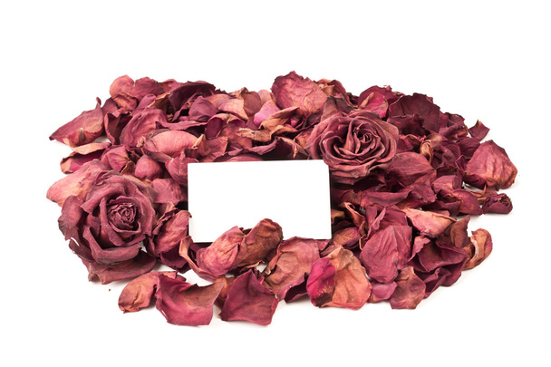 Dried Rose Background - Фото, изображение