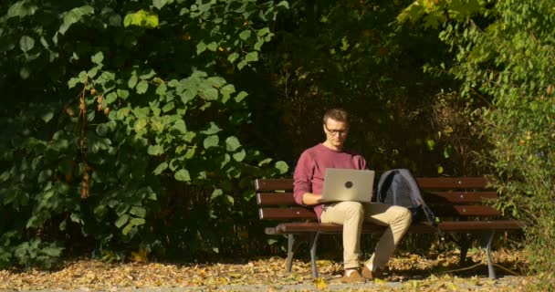 Man in Glasses is Sitting on The Bench Working with Laptop Freelance Programmer Designer Copywriter Accountant Inclined to Ground Picked Up Yellow Leaf - 映像、動画