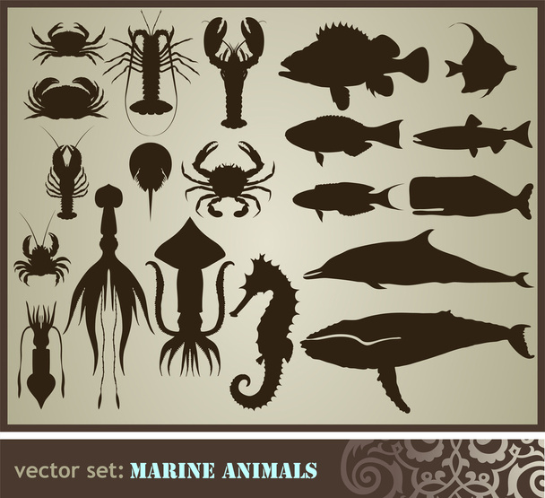 Marine animals - Vektori, kuva