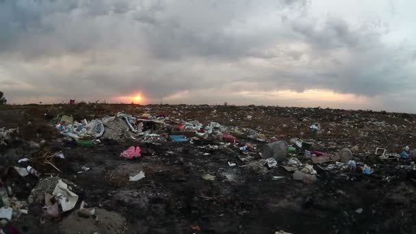 munkanélküliek dump hajléktalan piszkos keres élelmiszer-hulladékot a hulladéklerakó társadalmi ember-videó - Felvétel, videó