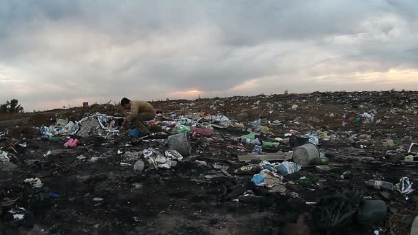 безработный бездомный, грязно выглядящий пищевые отходы на свалке социальное видео
 - Кадры, видео