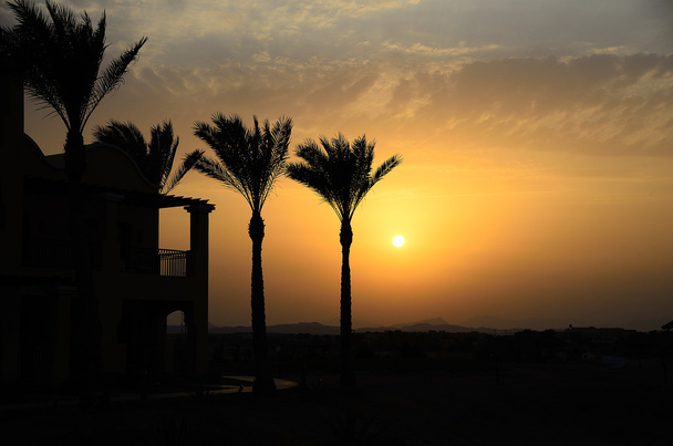 hotel con palme al tramonto
 - Foto, immagini