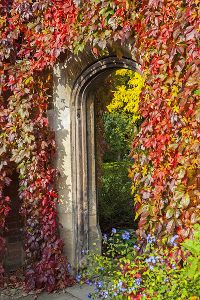 Piękny korytarz w Cambridge - Zdjęcie, obraz