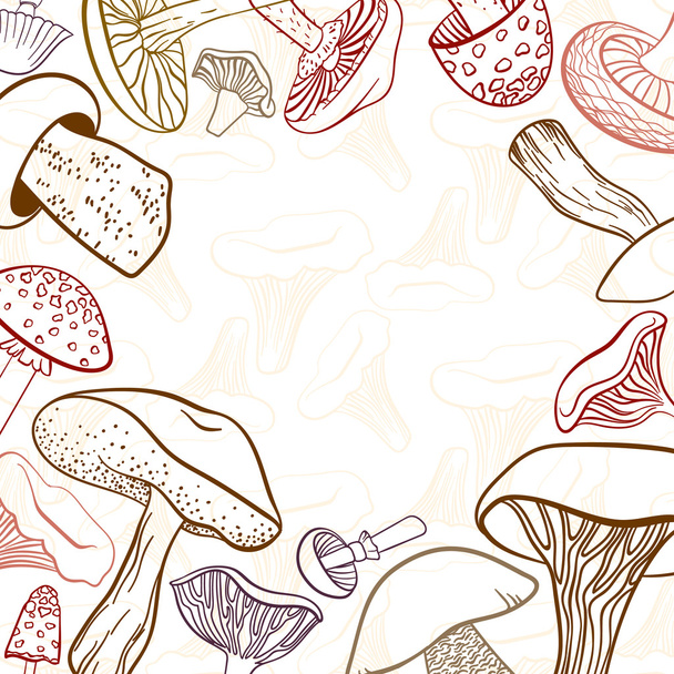 Background with different hand drawn linear mushrooms on white. Can be used as restaurant menu design. - Vektori, kuva