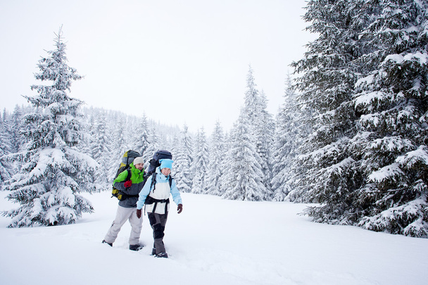 Hiker in the winter forest - Фото, зображення