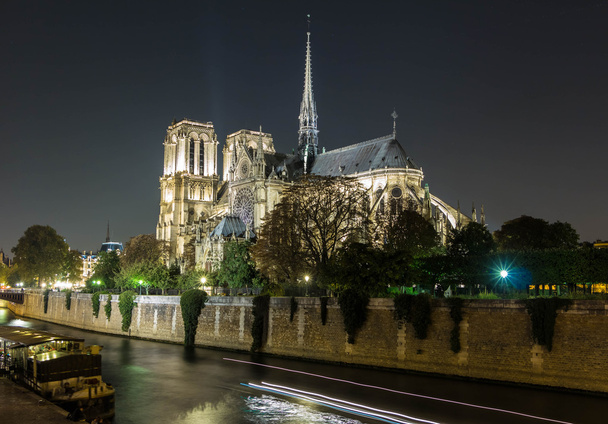 die Kathedrale Notre Dame bei Nacht, Paris, Frankreich. - Foto, Bild
