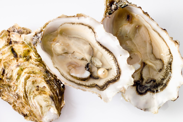 Open oyster with pearl - Valokuva, kuva
