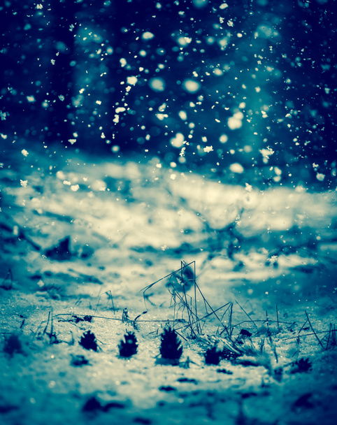 Schneefall. Blaue Tonung. - Foto, Bild