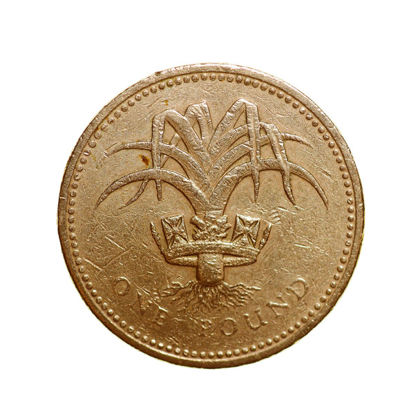 Retro görünüm bir İngiliz Lirası para - Fotoğraf, Görsel