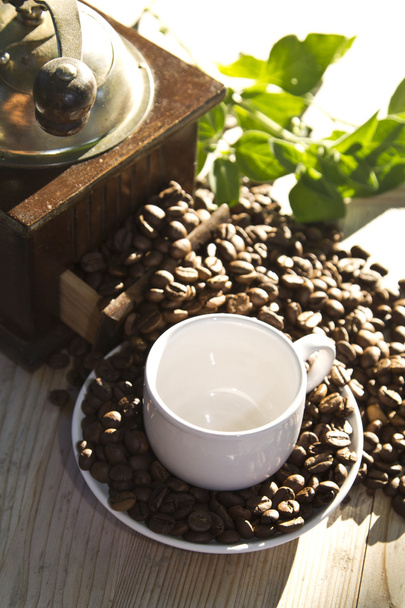 смачна чашка кави і квасолі
 - Фото, зображення